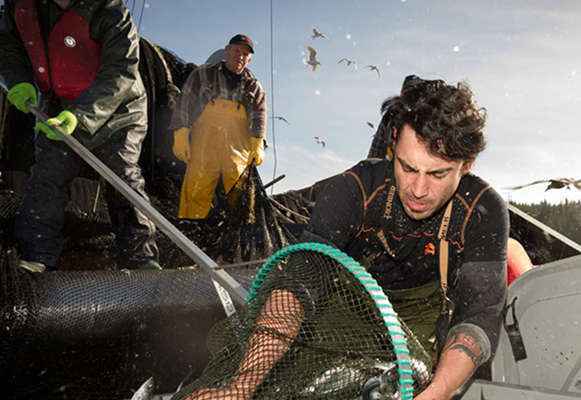Pêcheurs sur un bateau sortant des poissons de leur filet.